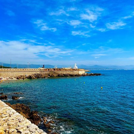 Appartement Tout Neuf Vieil Antibes Zewnętrze zdjęcie